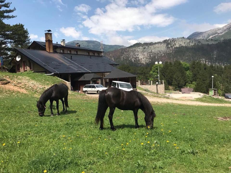 Hotel Snjezna Kuca - Nature Park Of Bosnia Herzegovina Mostar Exterior foto